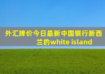 外汇牌价今日最新中国银行新西兰的white island